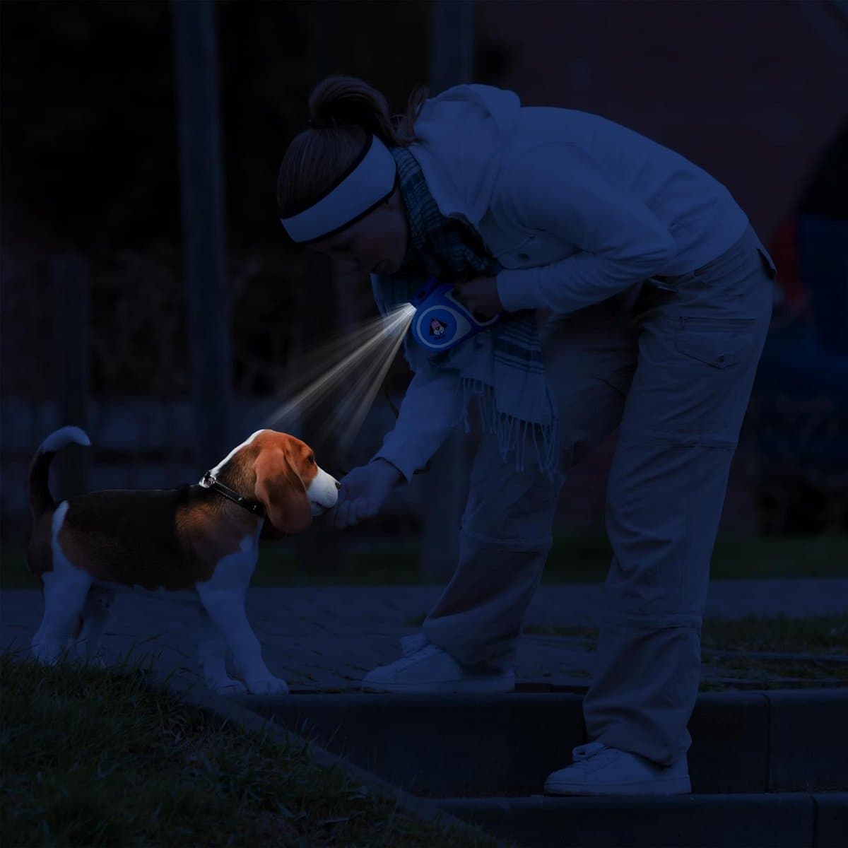 "BORVAT® - Intrekbare Hondenriem 5m - Flexibele Rollijn met Zaklamp - Voor Kleine en Middelgrote Honden " thumbnail 3