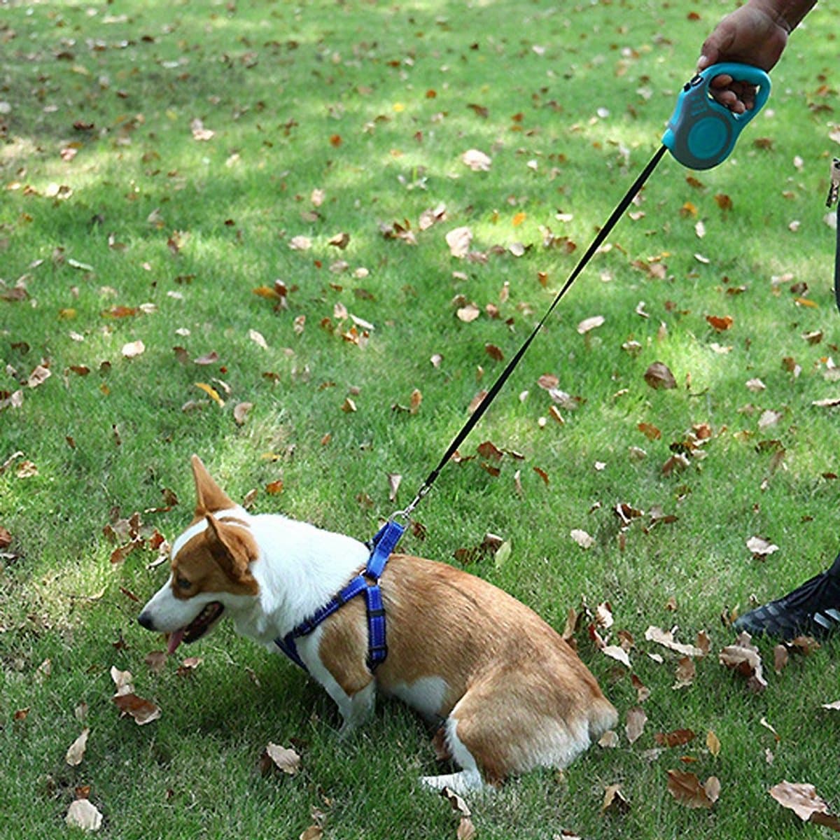 3m Automatische Hondenriem – Intrekbaar Nylon – Voor Kleine Honden & Katten – Tot 8kg thumbnail 4