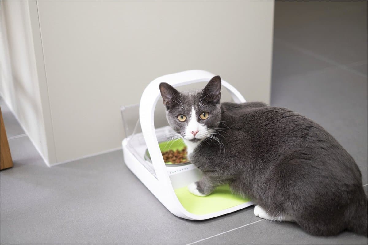 SureFeed Microchip Voerbak Connect - Kattenvoerbak - Met app voor controle - 21,5 x 22,7 x 31 cm - Wit thumbnail 2