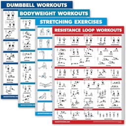 Productfoto van Fitness Oefeningen Poster Set - Halter, Lichaamsgewicht, Rek- en Weerstandstraining