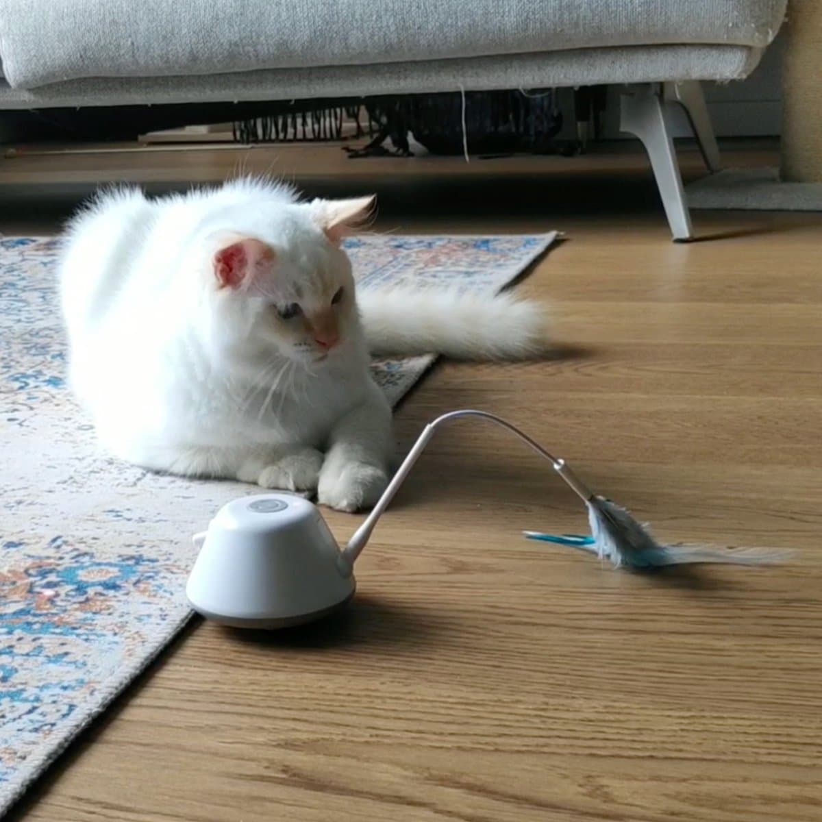 Veren en Lint voor Filo Rijdend en Hangend Kattenspeelgoed met Laser thumbnail 3