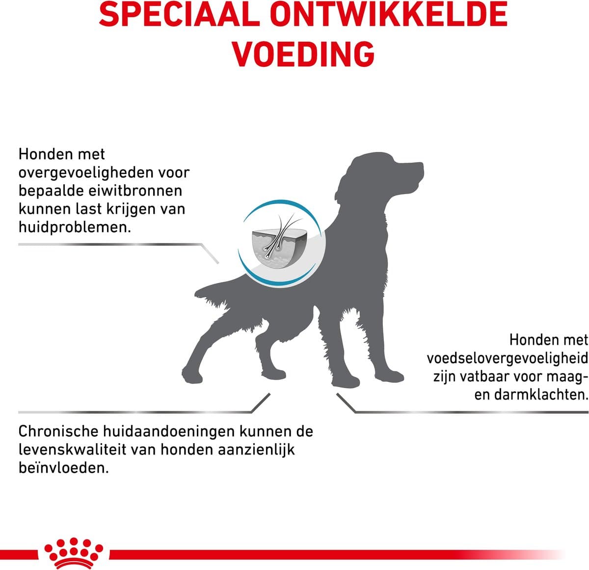 Royal Canin Hypoallergenic Hondenvoer 14 kg – Dieetvoer Allergie thumbnail 8