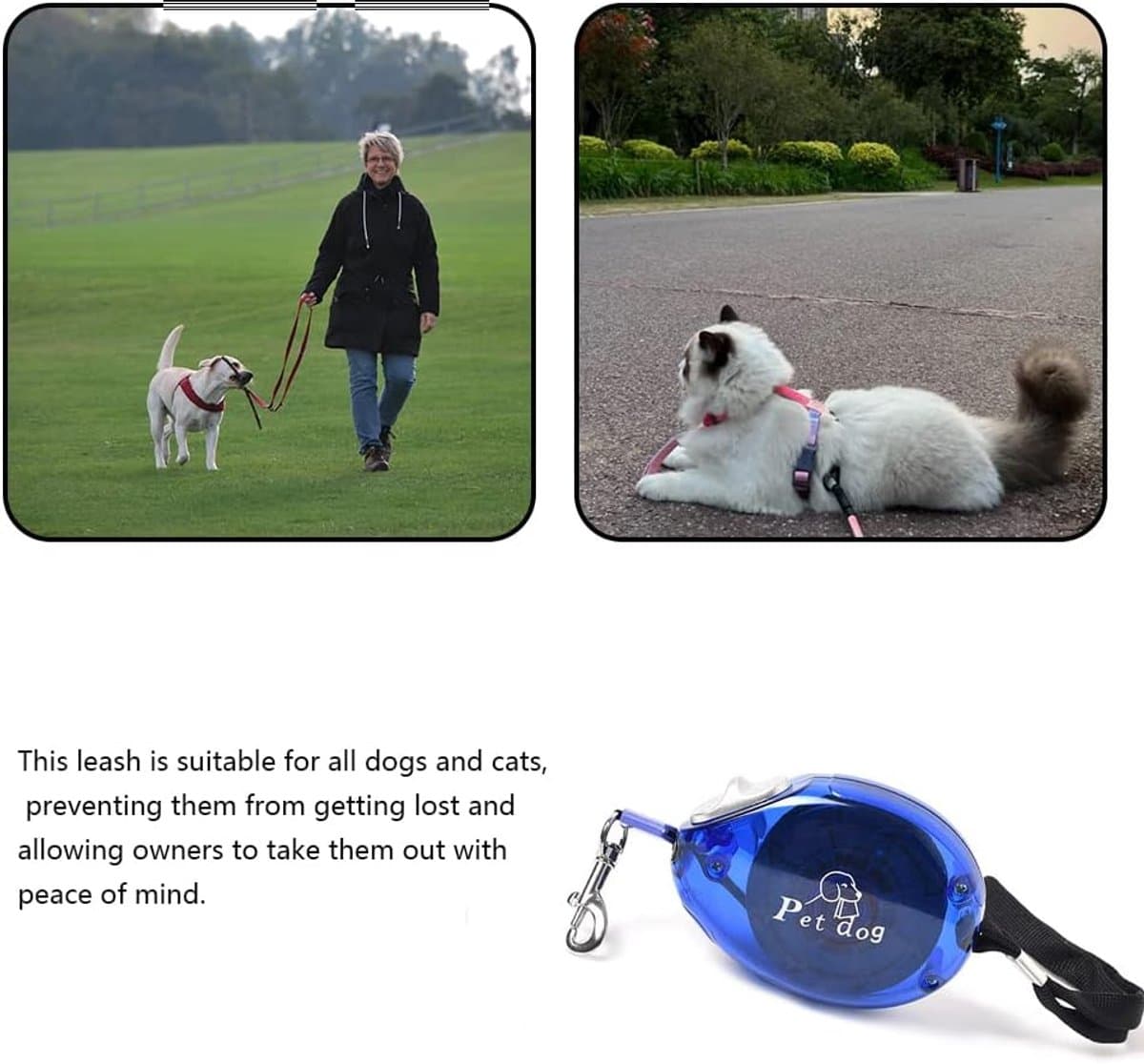 Intrekbare puppy traction puppy traction travel cat intrekbare traction mini en draagbare uitlaat hond voor kitten honden thumbnail 4