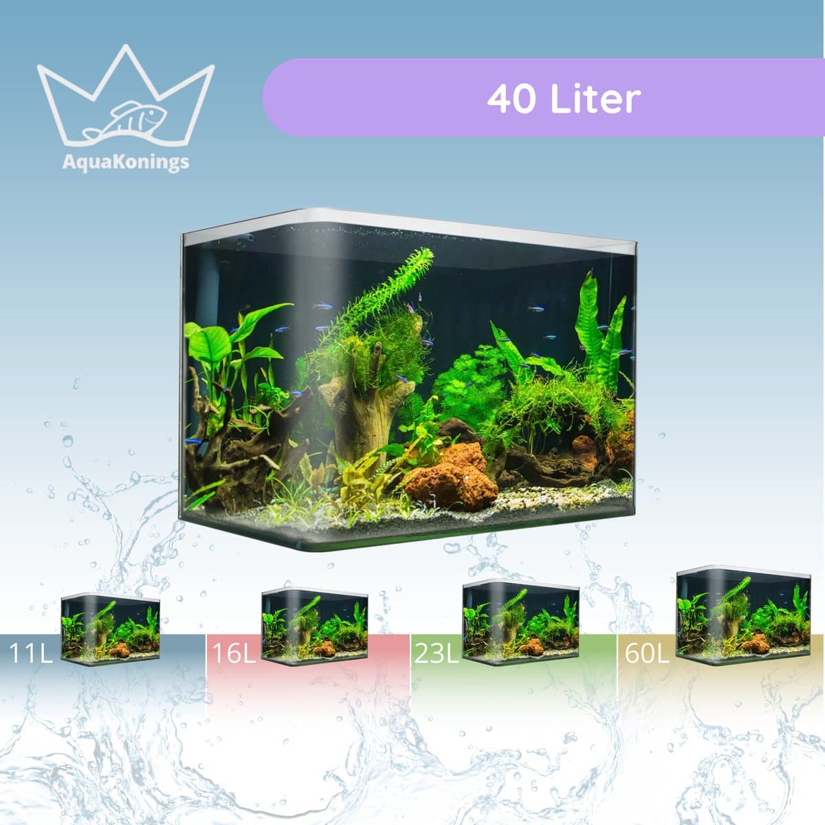 AquaKonings aquarium 40L thumbnail 7