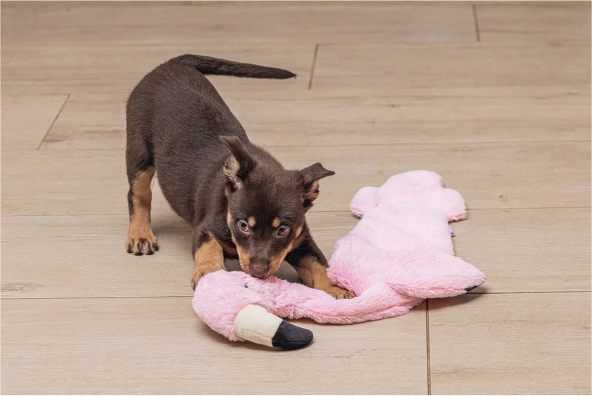 Beeztees Puppy Flatino Flamingo Fe - Puppy Speelgoed - Puppyknuffel - Hondenspeelgoed - Roze 72 x 27 x 5 cm - Hond thumbnail 2