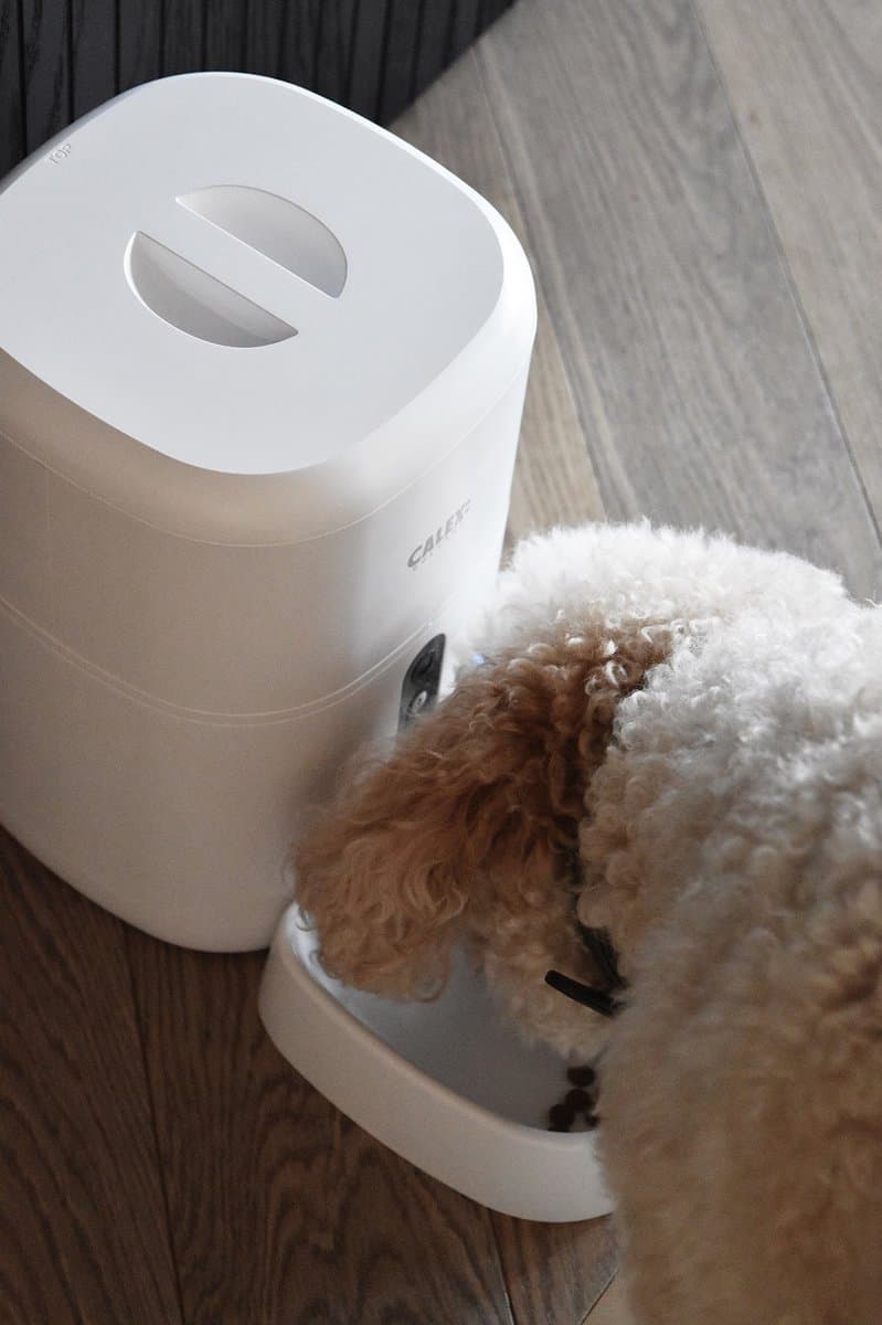 Calex Smart Petfeeder with Camera thumbnail 3
