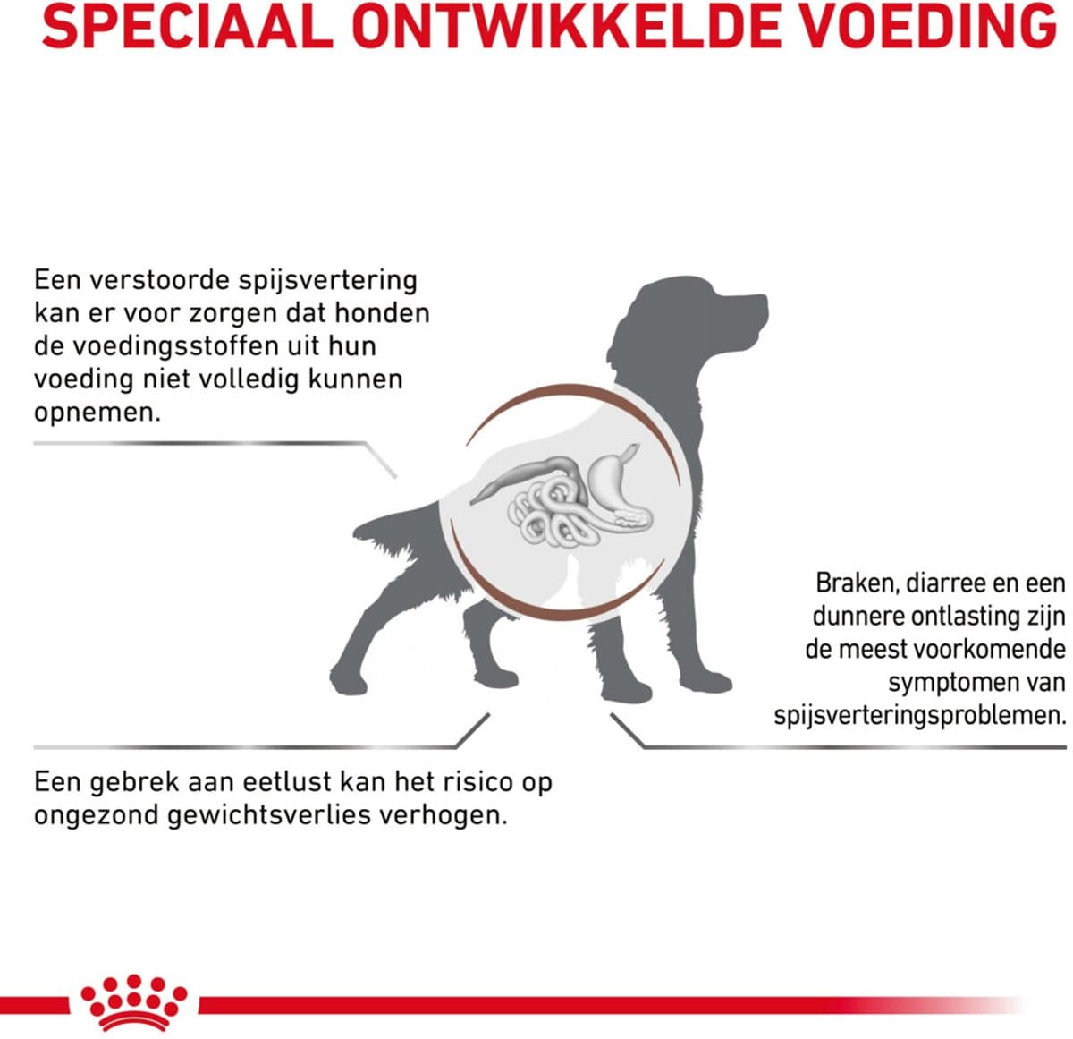 Royal Canin Gastro Intestinal - Hondenvoer - 14 kg thumbnail 2