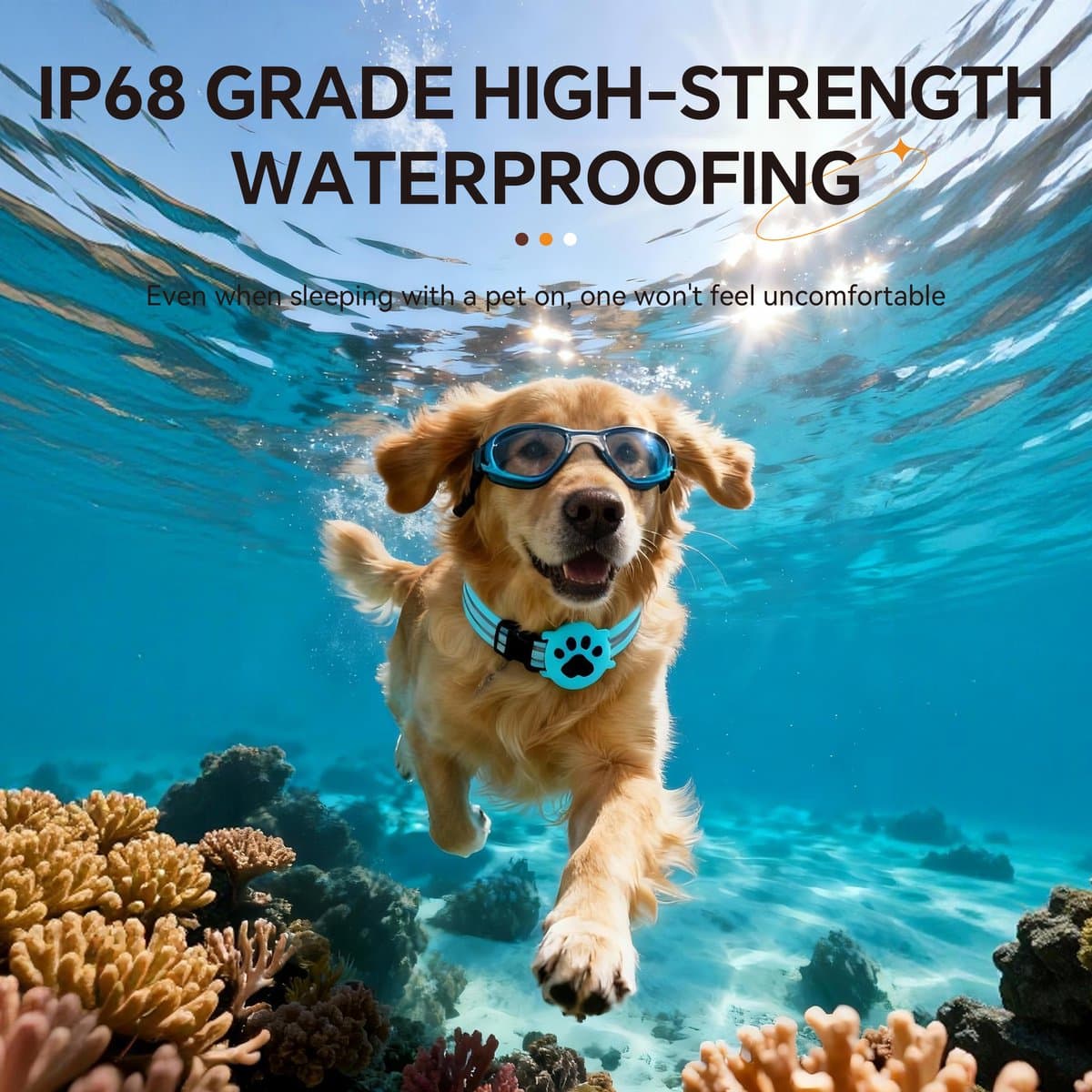 GPS KattenTracker - Zonder Maandelijkse Kosten - Werkt Met iOS - IP68 Waterdicht - CR2032 Batterij (1+ Jaar) - Verstelbare Nylon Halsband - Halsomtrek 28-39 cm - Zwart thumbnail 8