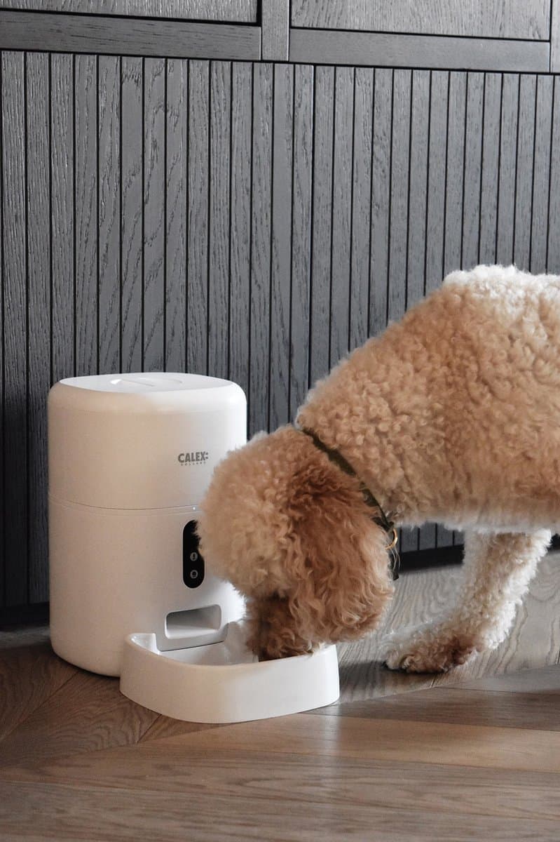 Calex Smart Petfeeder with Camera thumbnail 4