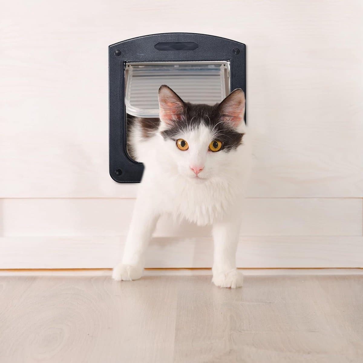 Kattenluik met microchip - Afsluitbaar kattenluik 4 standen - Katten en kleine honden - Magneet - 22 x 20 cm - Zwart Kattenluik met microchip thumbnail 2