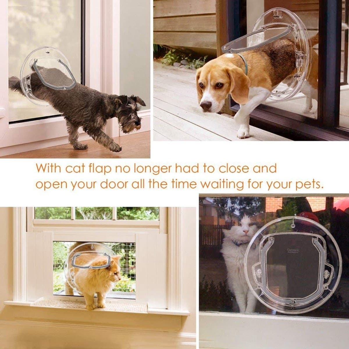 Dailygoods- Kattenluik met microchip - Kattenluik binnendeur - Huisdierluik voor kleine honden - 4-weg vergrendelingsopties - Transparant design - Geluidsreductie met borstelstrip - Huisdierdeur thumbnail 2