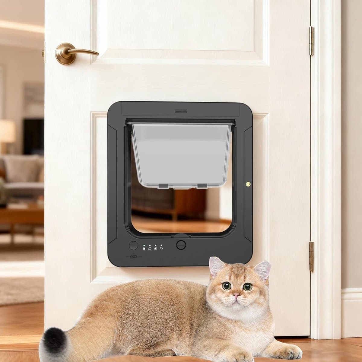 Huisdierdeur - Kattenluik - Toegang Beheren - Microchip Geactiveerd - 298 x 263 cm - Enkele Attribuut thumbnail 8
