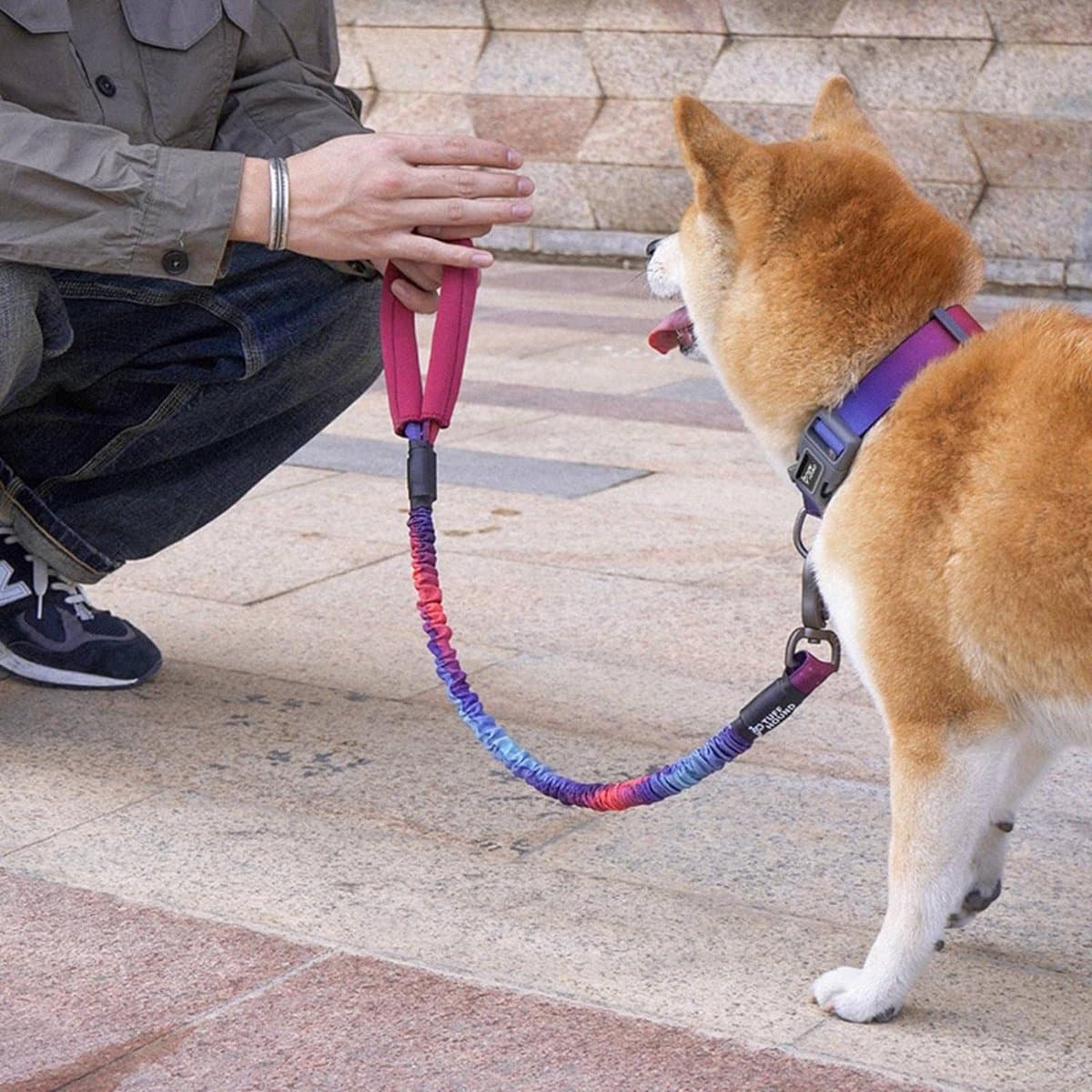 Hondenriem Intrekbare hondenriem - Stijlvolle Pet Riemen Running Training Tractie Touw - Sterke Hondenriem (75-105) cm) Roze/blauw thumbnail 2