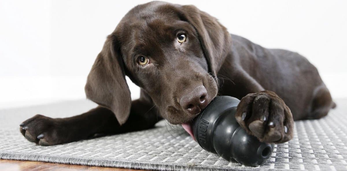 KONG Extreme – Honden Speelgoed – Rubber – Zwart - L - 13 tot 30 kg thumbnail 4