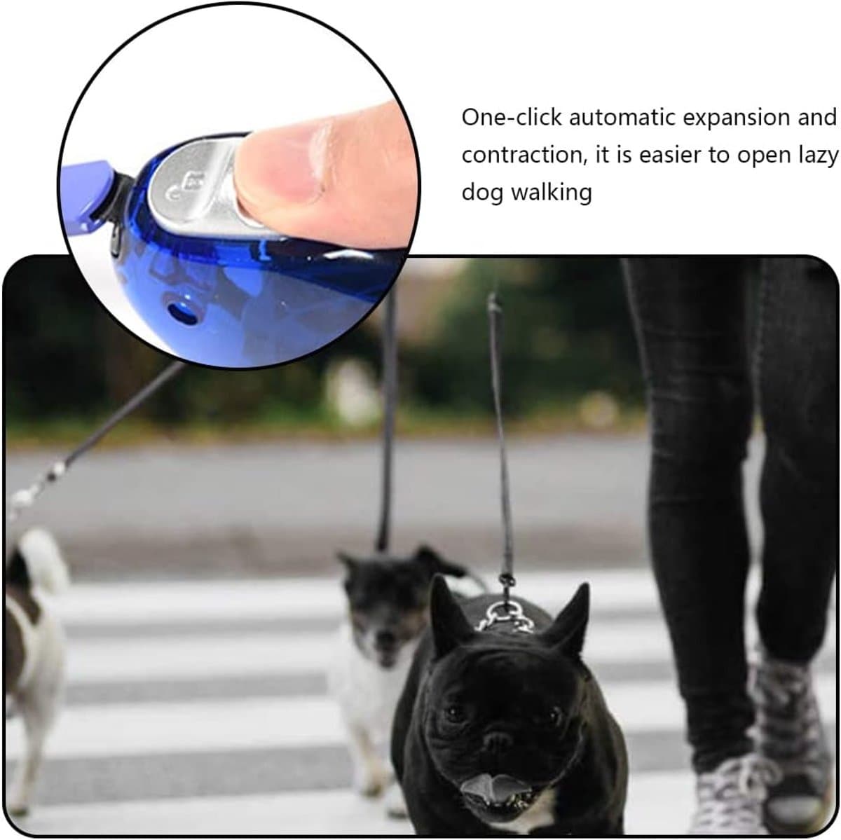 Intrekbare puppy traction puppy traction travel cat intrekbare traction mini en draagbare uitlaat hond voor kitten honden thumbnail 3