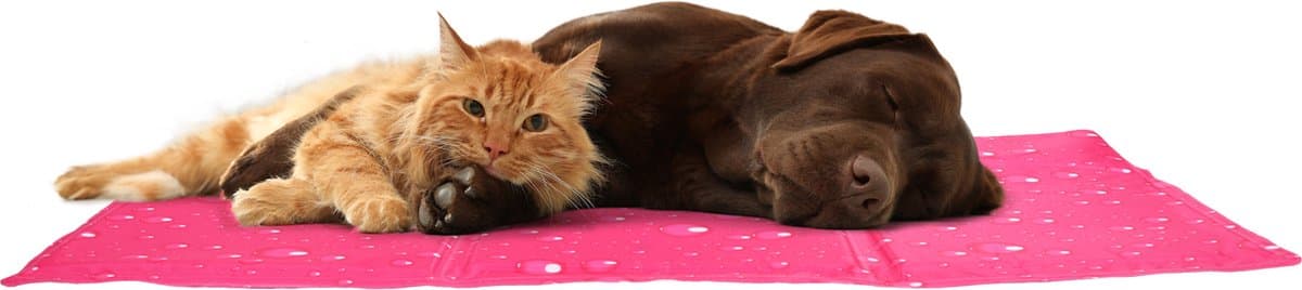 Koelmat hond - koelmat kat - M - 70x50 cm - Drop Fuchsia - zelfkoelende mat voor honden en katten - verkoelende zomer mat thumbnail 8