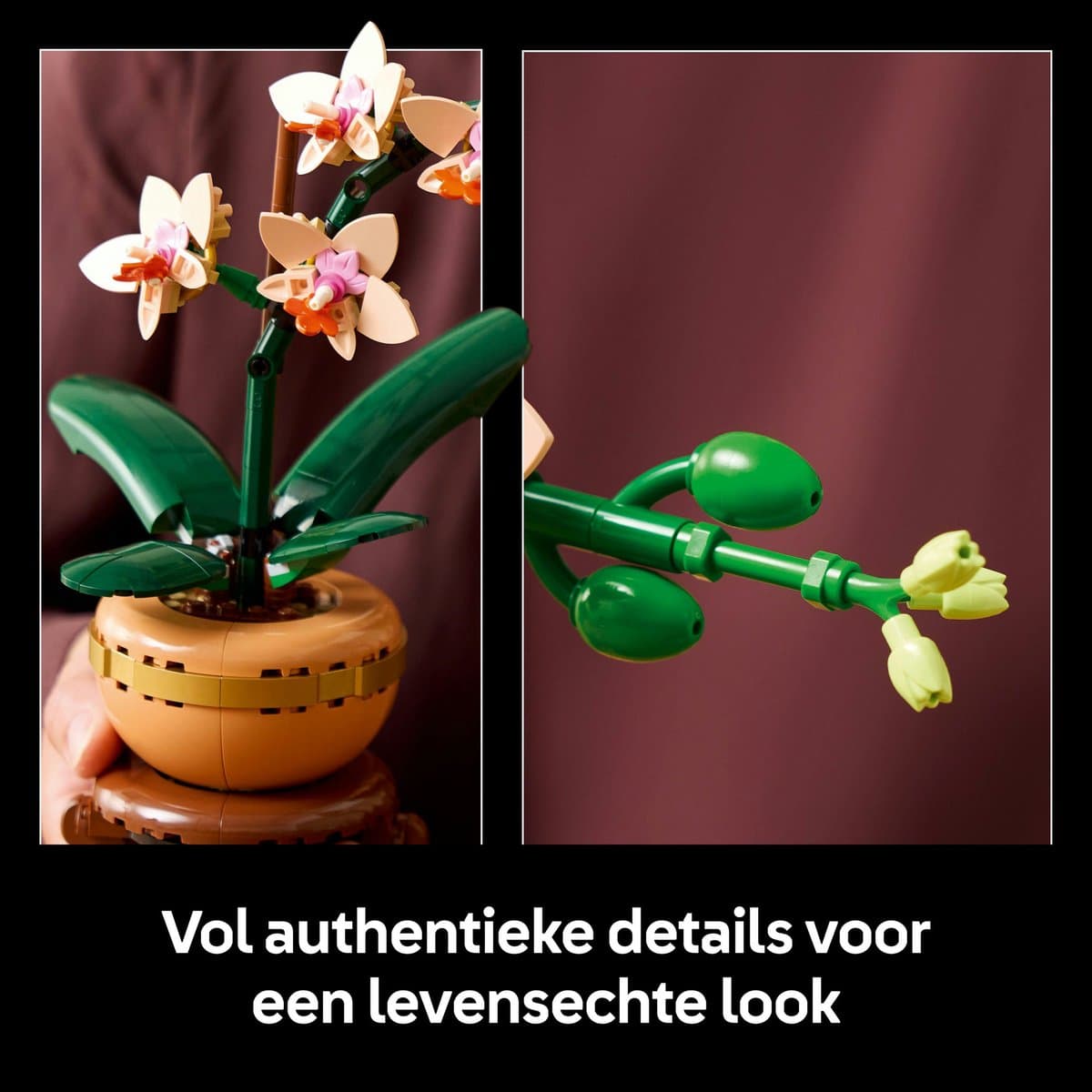 LEGO Botanical Collection Miniorchidee 10343 - 274-delige bouwset thumbnail 5