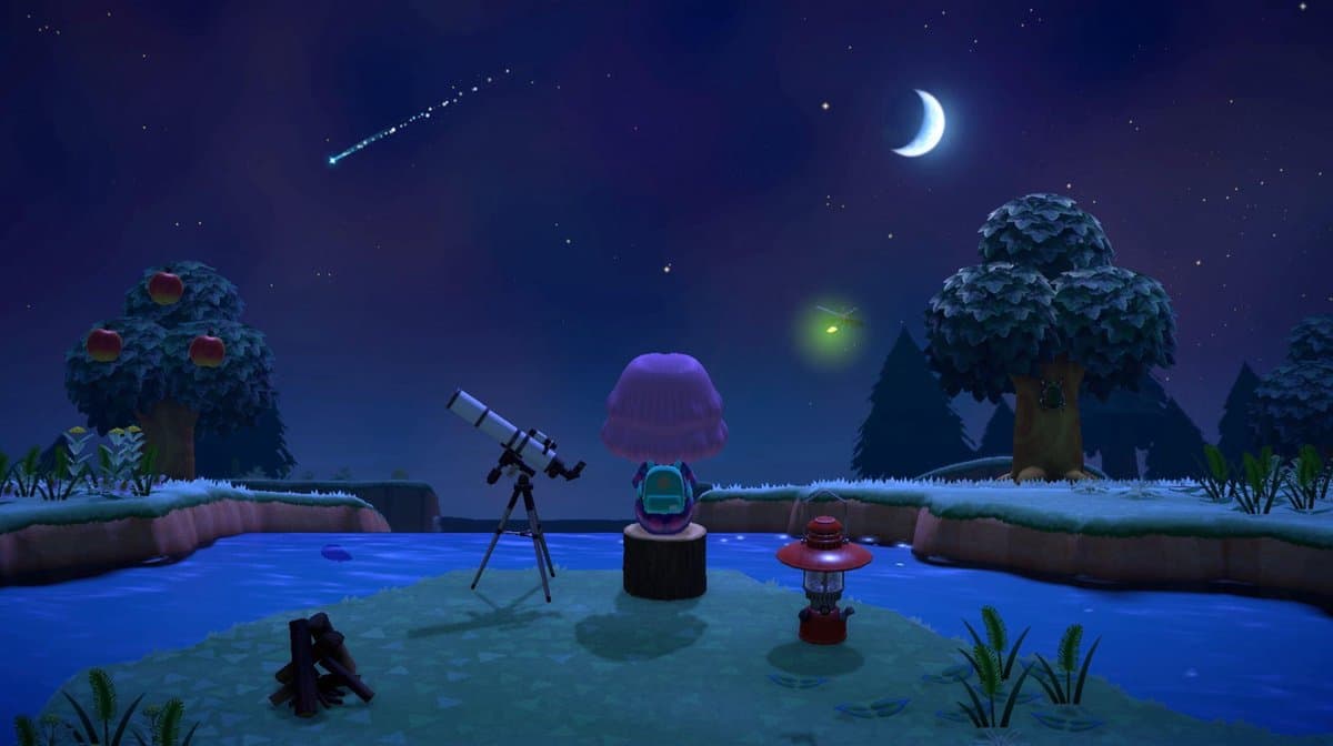 Animal Crossing: New Horizons - Nintendo Switch thumbnail 8