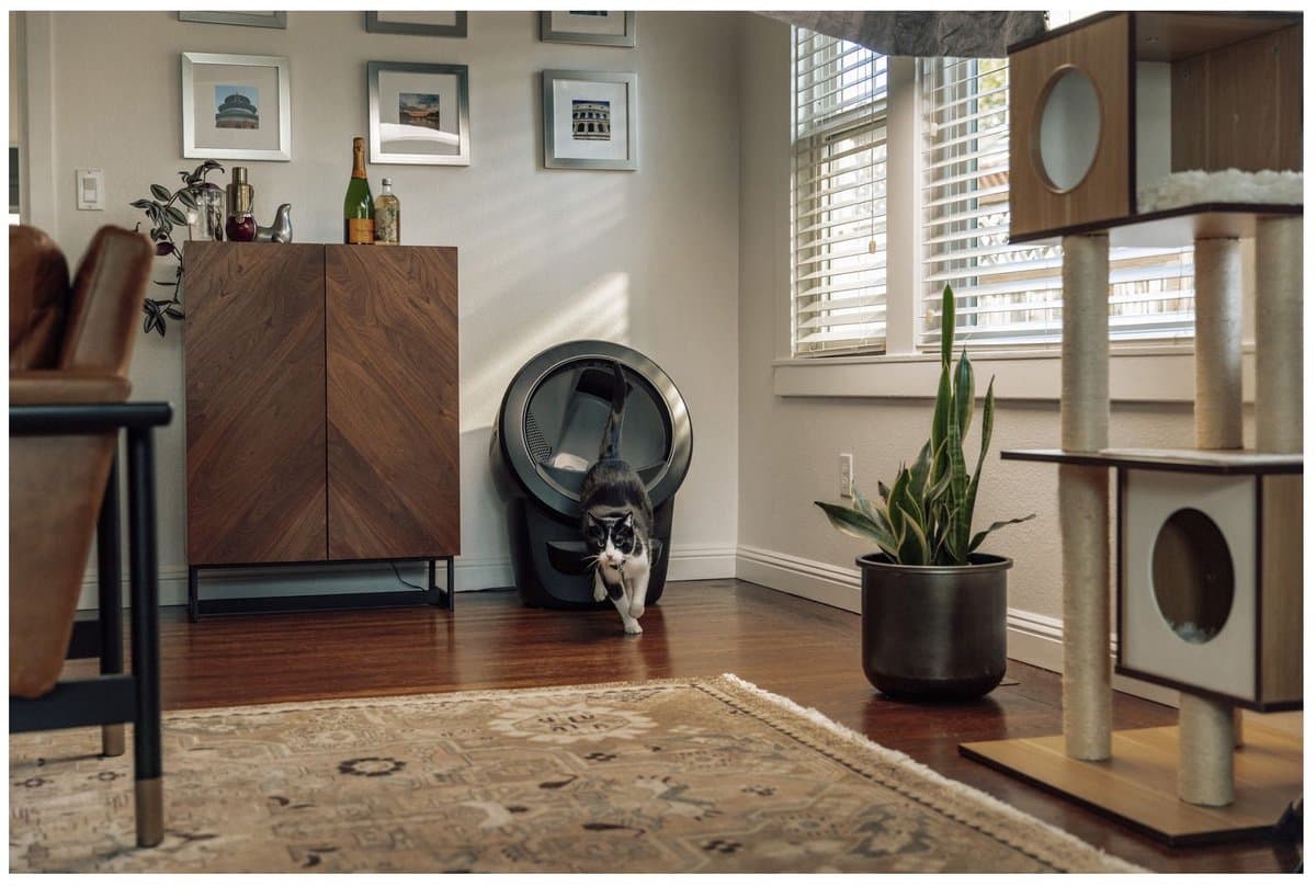 Litter-Robot 4: Automatische kattenbak met Whisker app thumbnail 8