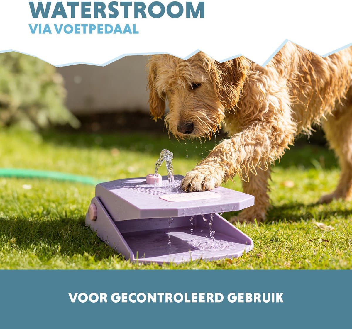 CoolPets Waterfontein Hond Tuinslang - Drinkfontein hond – Waterspeelgoed Hond - Verkoeling voor Honden - Splash Water Fountain - Lila thumbnail 5