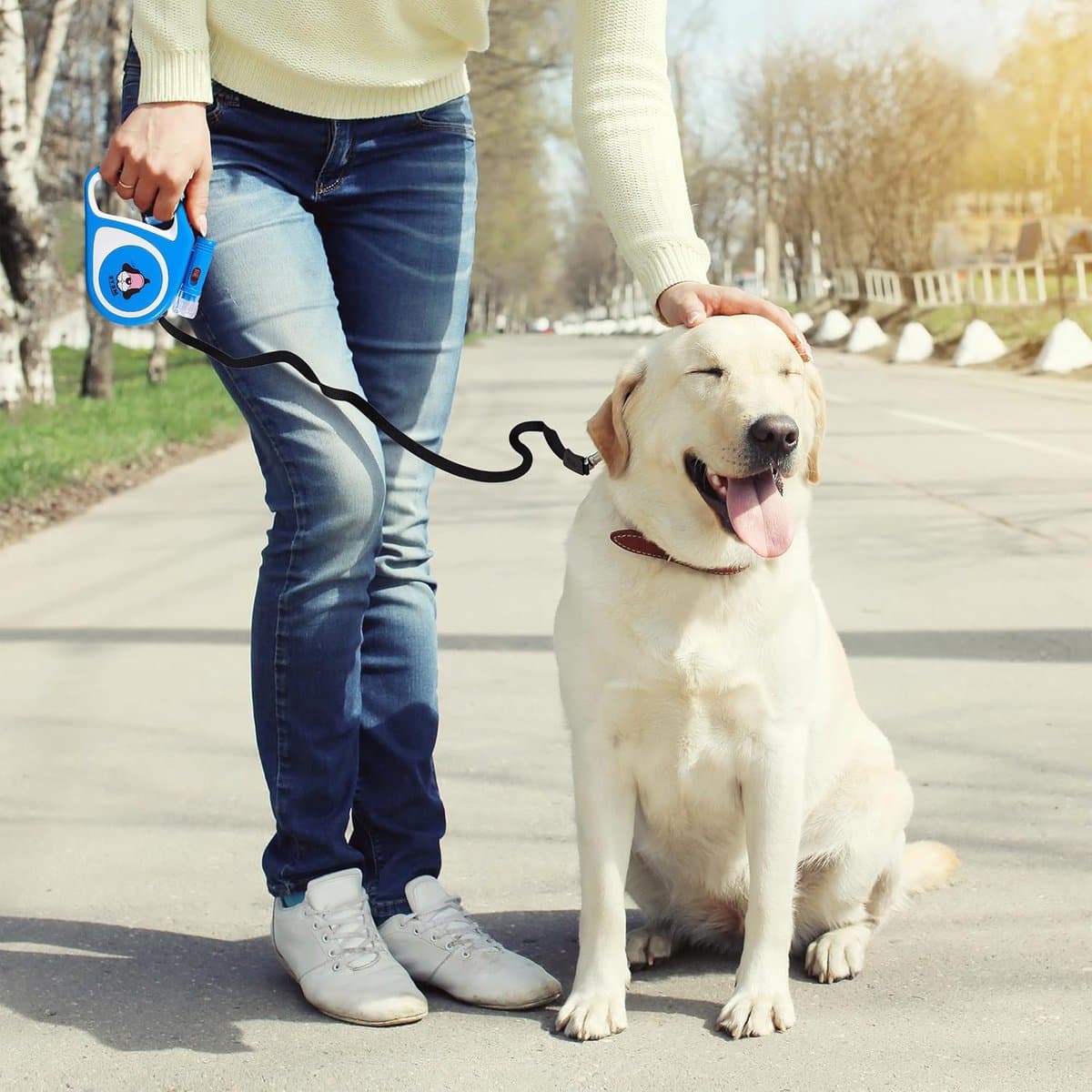 "BORVAT® - Intrekbare Hondenriem 5m - Flexibele Rollijn met Zaklamp - Voor Kleine en Middelgrote Honden " thumbnail 5