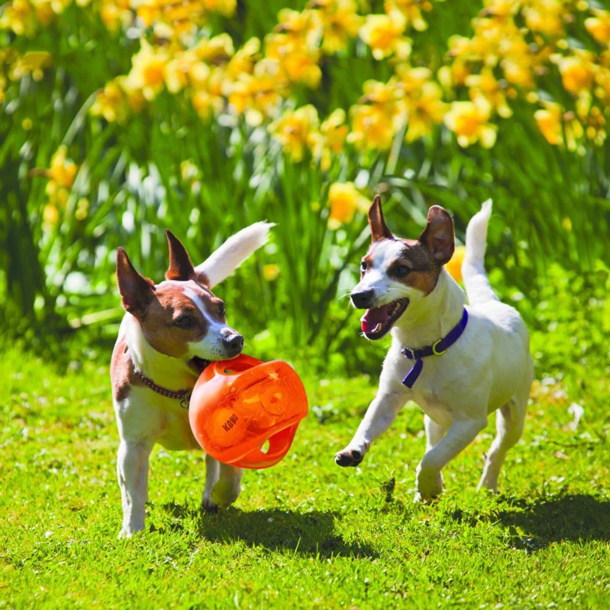 Kong Jumbler Ball - Assorti Kleur - M/L - Honden Speelgoed - Ø14 cm thumbnail 7