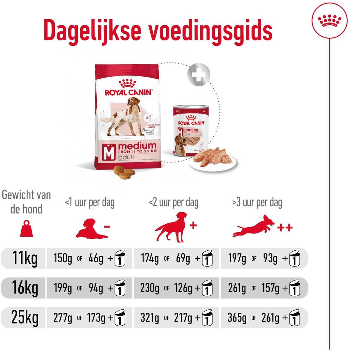 Royal Canin Medium Adult - Voeding voor volwassen middelgrote honden thumbnail 7