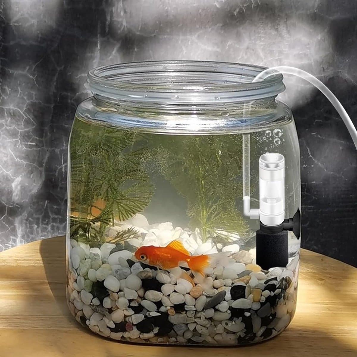 VHV - 2 Aquarium filter - Sponsfilter - Binnenfilter - Luchtfilter - Zuurstofvoorziening - Met slang - Voor kleine aquaria en garnalen - Nano aquarium - Zwart thumbnail 5