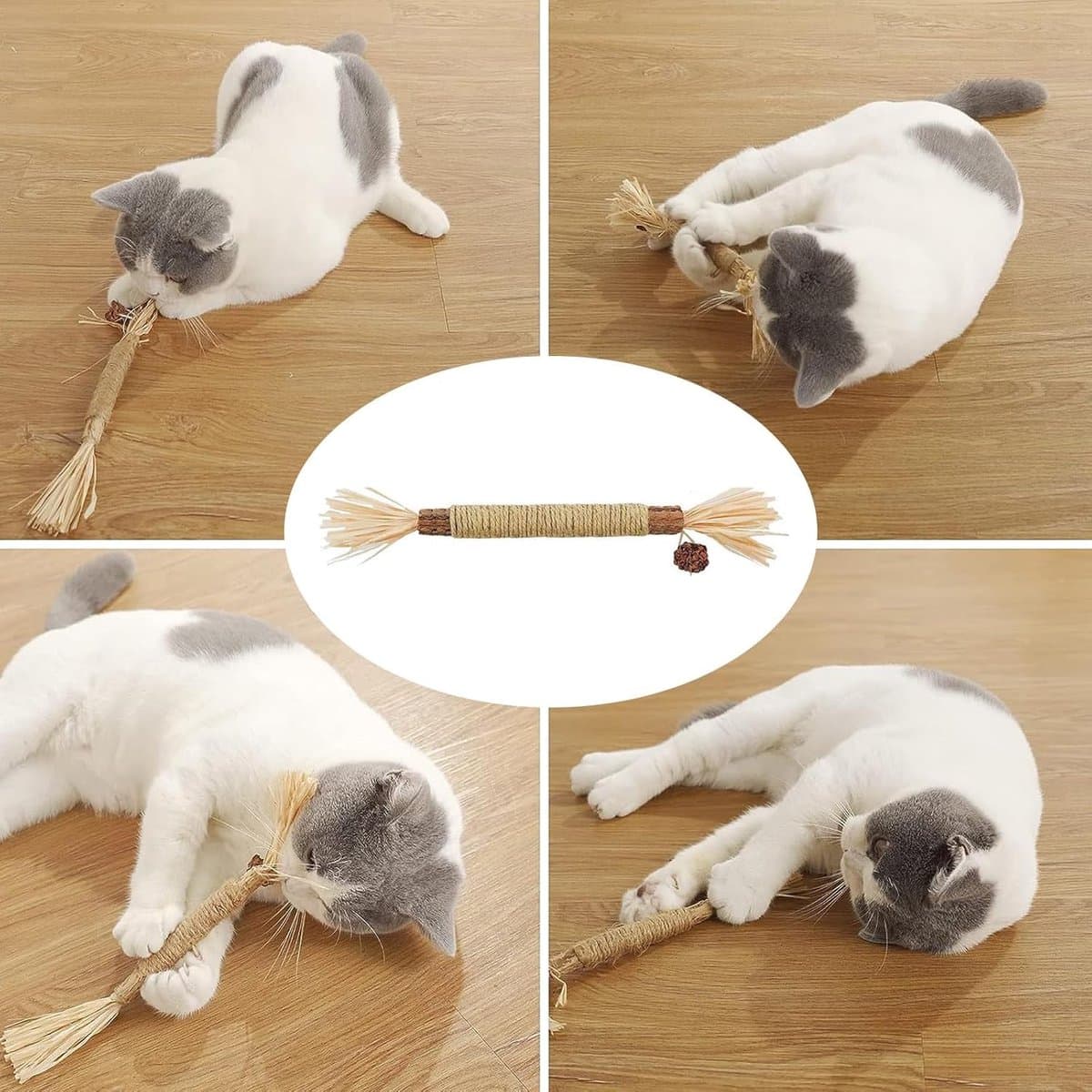 Kauwsticks Kattenspeelgoed - 6 stuks Matatabi Stokjes voor Katten - Natuurlijke Matatabi Catnip Sticks Kitten Tandjesspeeltje - Kat Tanden Reiniging Kauwbare Catnip Speelgoedsticks - voor Binnen Kittens thumbnail 5
