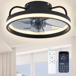 Productfoto van Zwarte Plafondventilator met Verlichting