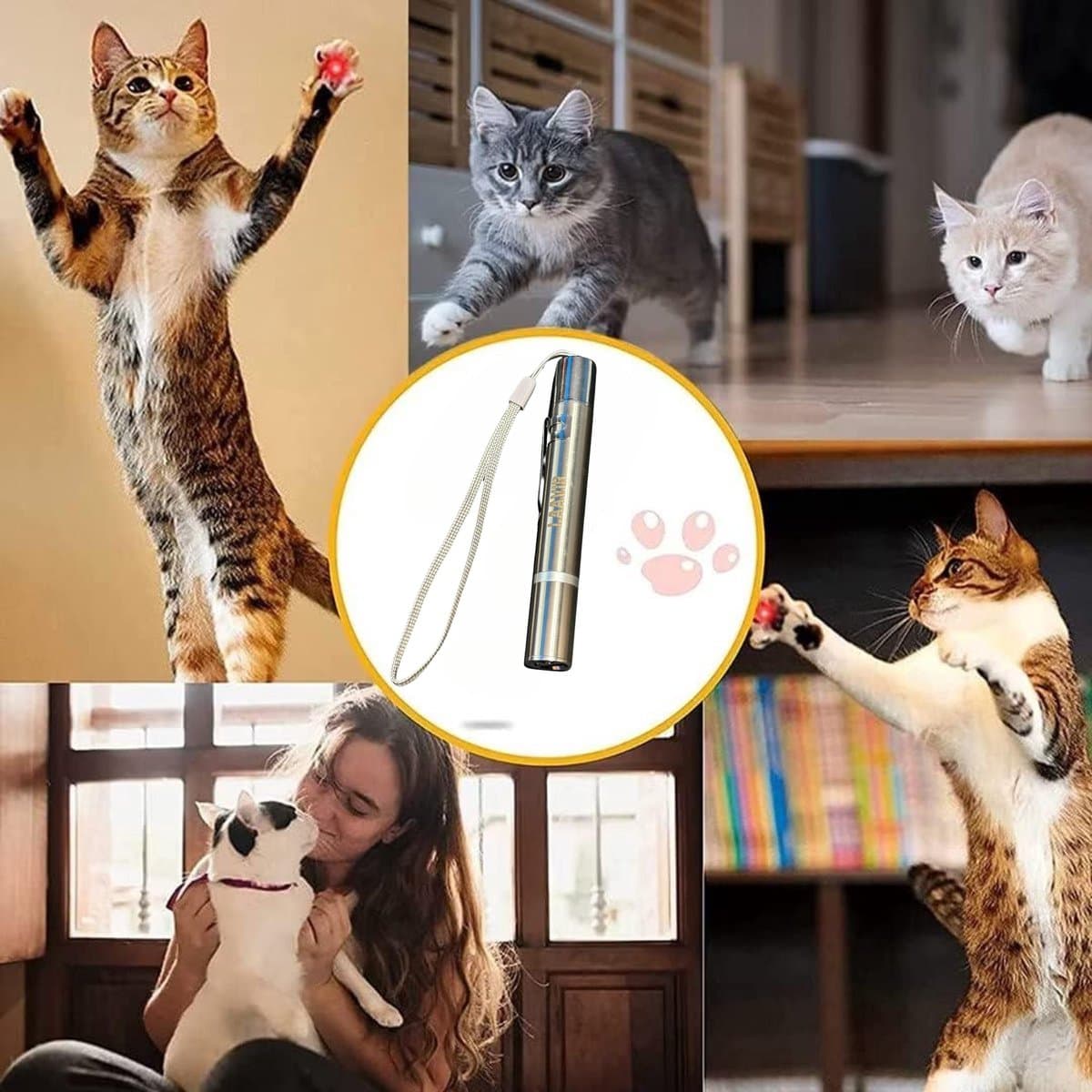 Laavir® Laserpen voor Kat en Hond - USB Oplaadbare Rode Laserpointer - Interactieve Laserlamp - Kattenspeeltjes en Hondenspeeltjes - Rood thumbnail 6