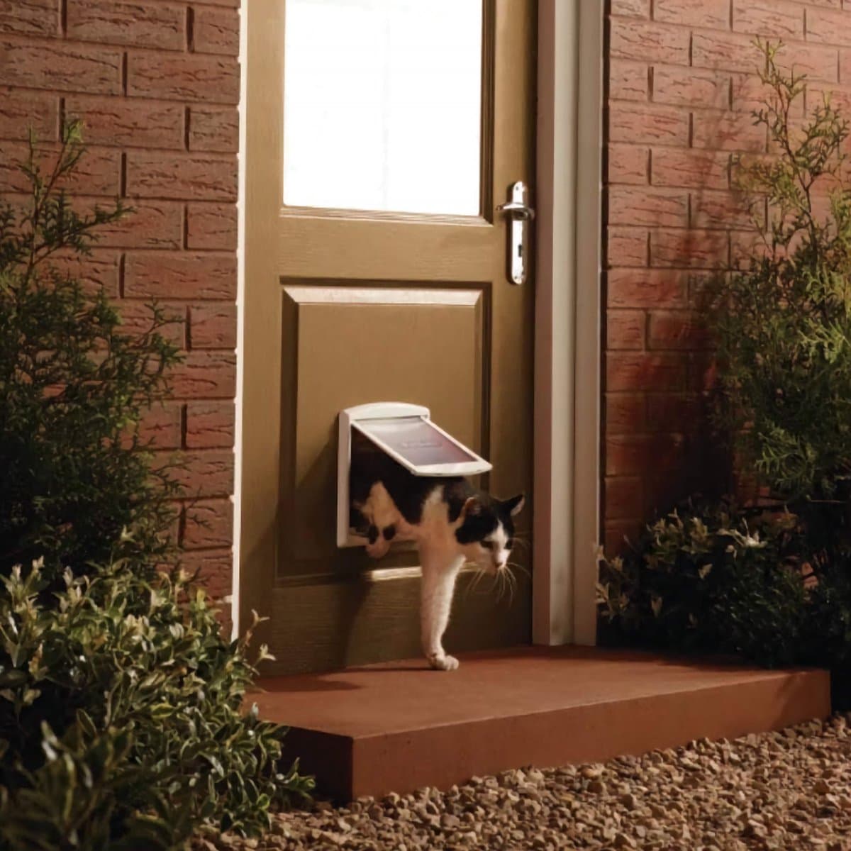 Petsafe 700 Kattenluik - S - Wit - 18.5 x 15.8 cm thumbnail 4