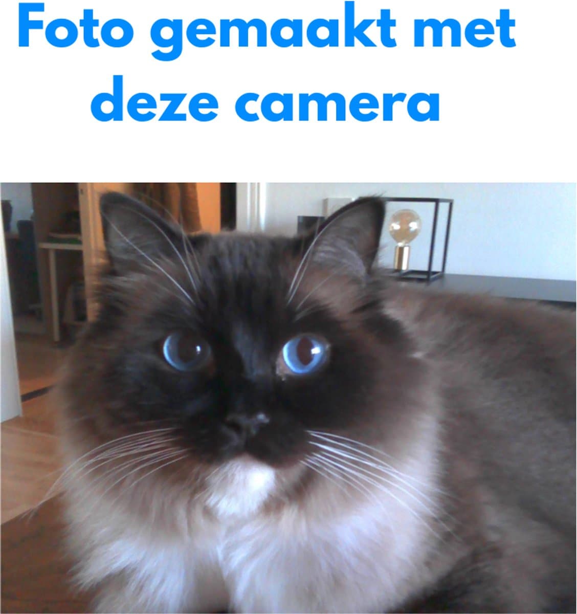 PersonalClick Mini Camera V78 – Retro Camera Sleutelhanger met 32GB Micro SD-kaart en USB-stick – Compacte HD Camera – Blauw thumbnail 5