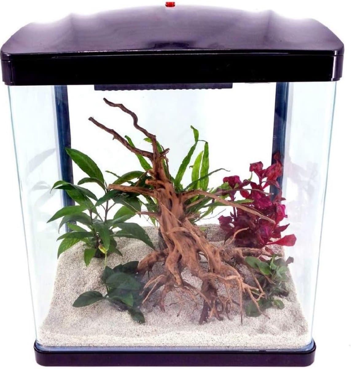 AquaOne LED Nano-Aquarium 7L thumbnail 6