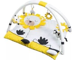 Speelkleed - Activiteitenmat - Speelmat - Babygym - Pluche et Pompom - Baby/Kleuter - Veel zintuiglijke activiteiten - Verwijderbare stokken - Eenvoudige montage - Draagtas - Speeltjes kunnen ook los gebruikt worden.