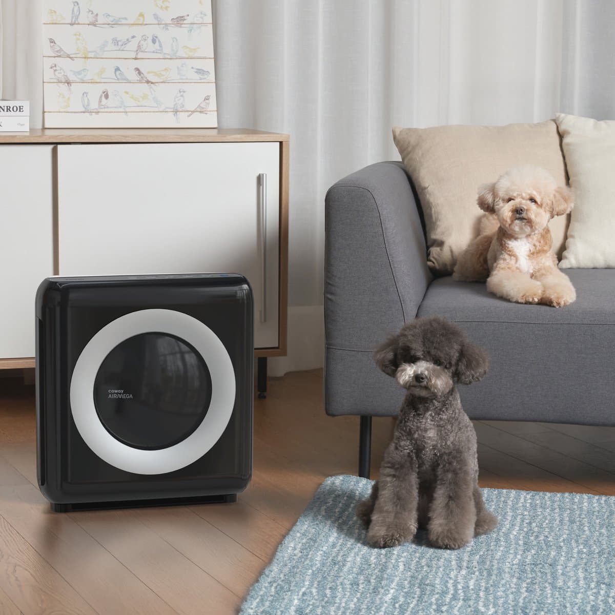 Coway ap-1512hh MIGHTY Luchtreiniger - Air Purifier - 421 m³/u - Wasbaar pre-filter + HEPA filter + geurfilter - Tegen stof, pollen, allergenen en huisdieren - Fluisterstil met slaapstand - Wirecutter Top Pick - Zwart thumbnail 6