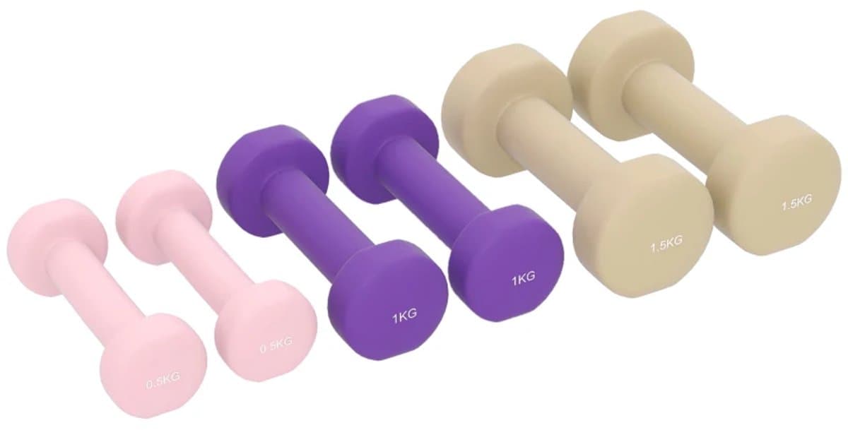 Halterset 6-delig met Koffer - 0,5-1,5 kg Dumbbells