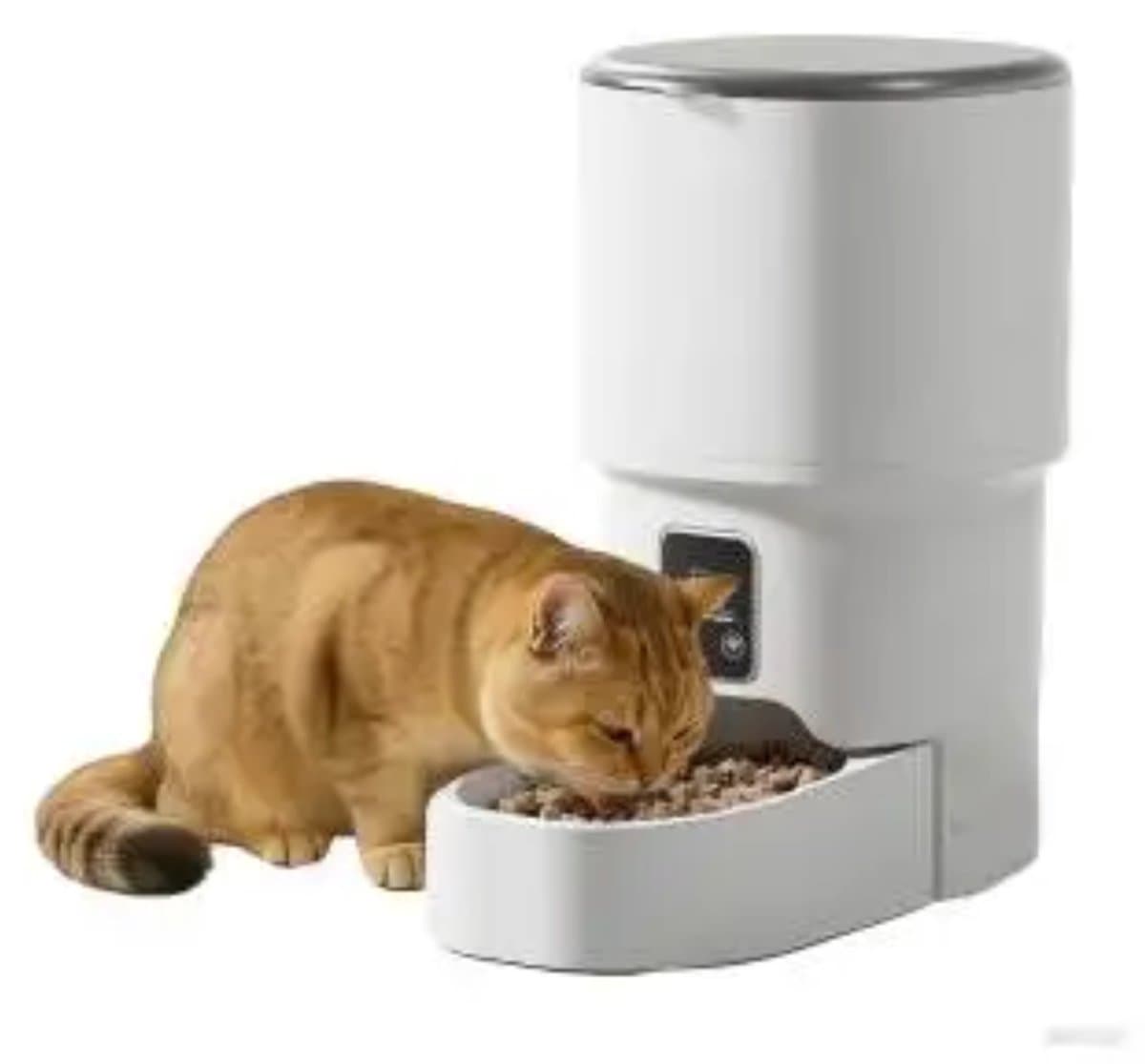 Smart volautomatische dieren voeder apparaat. Via Wifi met de Tuya app / smartlife en handmatig te bedienen. thumbnail 7