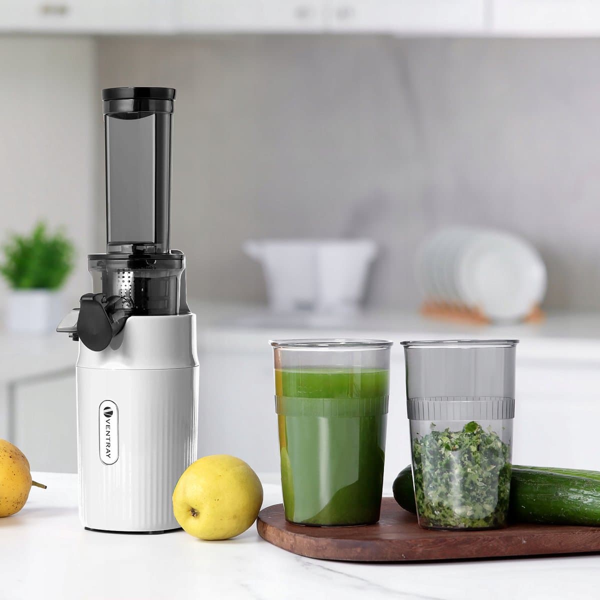 Ventray Essential Ginnie Juicer - compacte slowjuicer - wit thumbnail 5