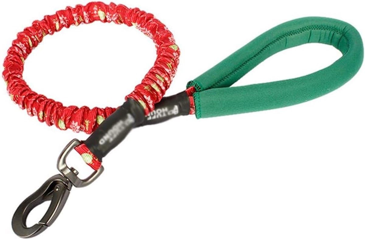 Hondenriem Intrekbare hondenriem - Stijlvolle Pet Riemen Running Training Tractie Touw - Sterke Hondenriem (120-150) cm) Rood/groen