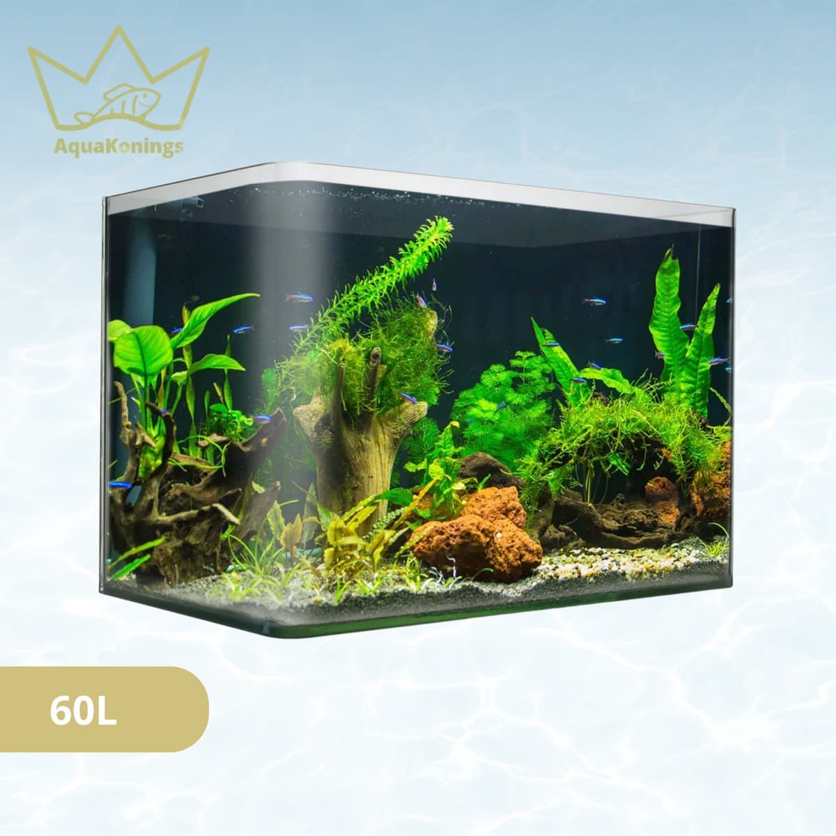 AquaKonings aquarium 60/64L