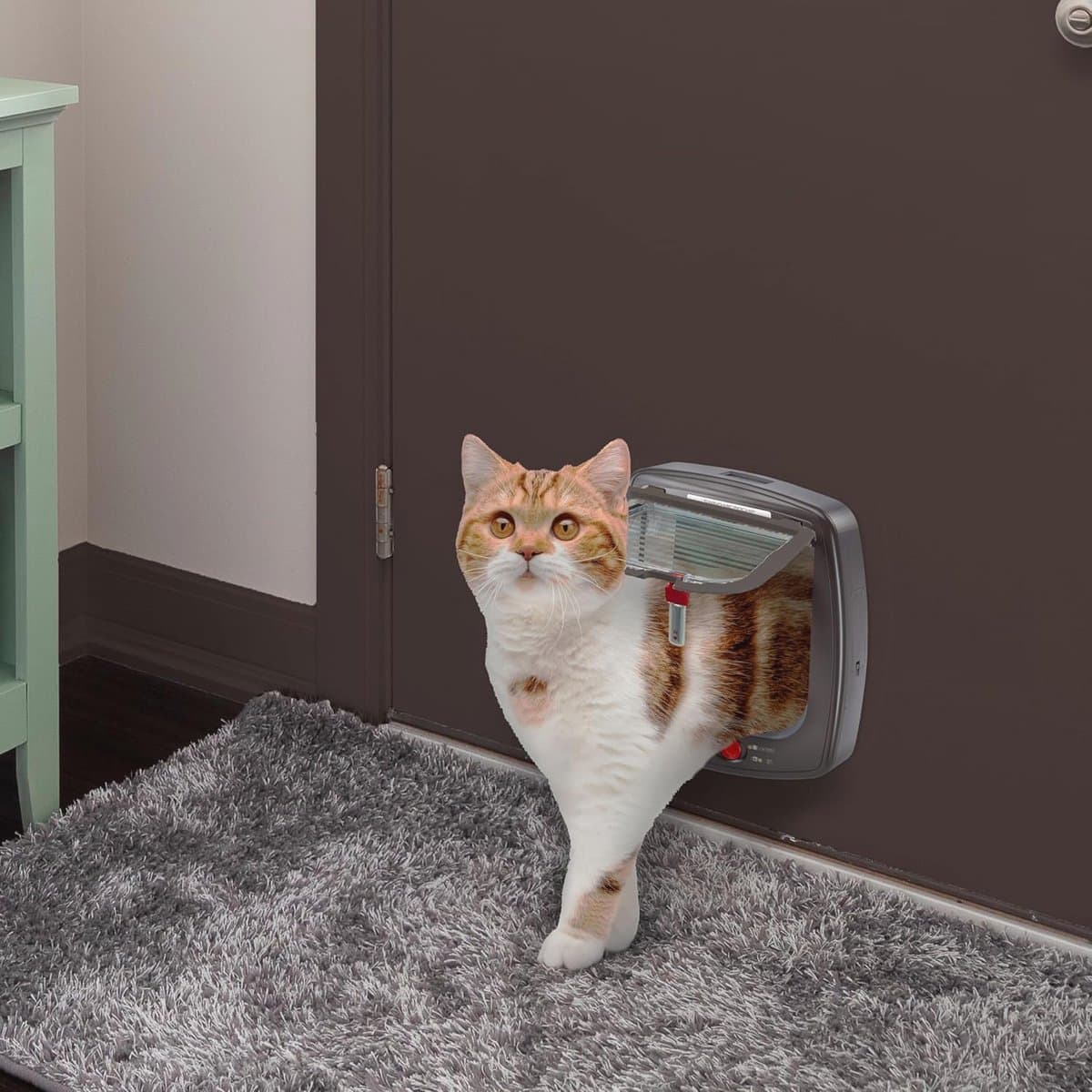 Kattenluik met Microchip en Wind Stopper - Viervoudig Instelbaar thumbnail 3