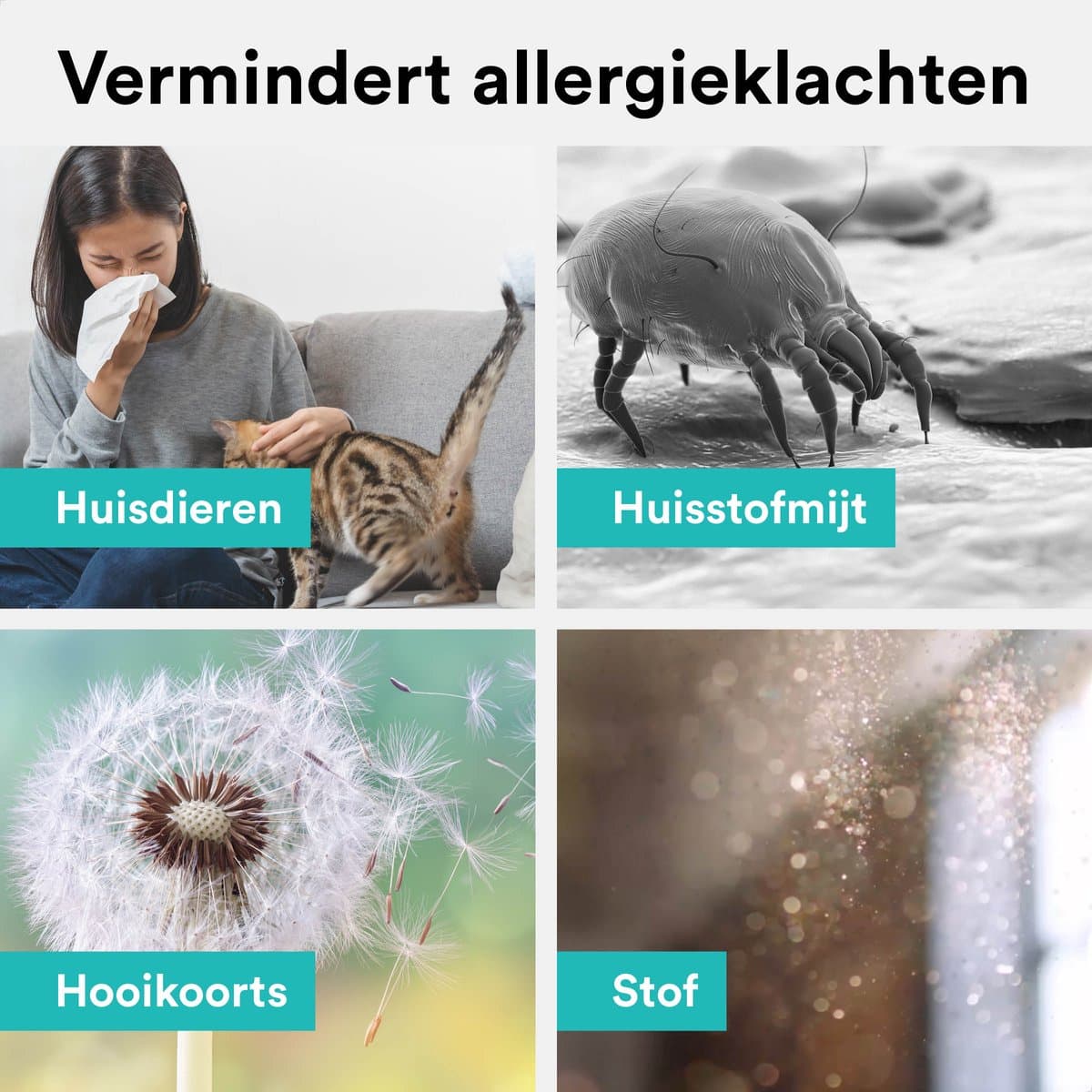 Rolfstone Air Balance Ultra Luchtreiniger – HEPA 13 + koolstoffilter – CADR 660 m³/u – Voor ruimtes tot 144 m² – Vermindert stof en pollen – Fluisterstil – 3 standen + slaapstand + automatische stand – Luchtkwaliteitsindicator thumbnail 7