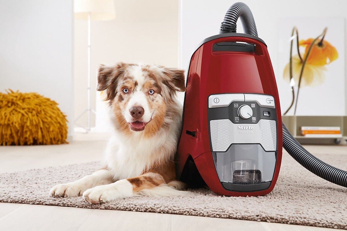 Miele Blizzard CX1 Cat & Dog Powerline stofzuiger zonder zak mangorood turboborstel HEPA filter 890 W thumbnail 8
