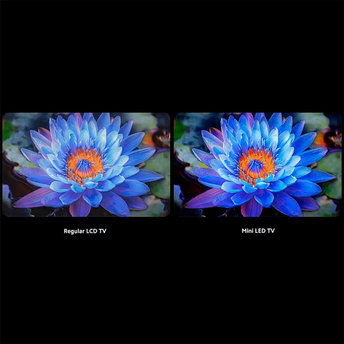 Xiaomi TV S Mini LED 75" 4K Smart TV 1200 cd/m² thumbnail 6