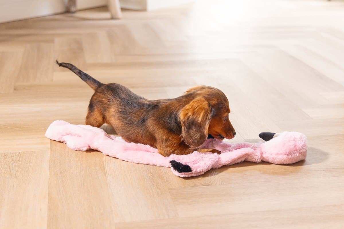 Beeztees Puppy Flatino Flamingo Fe - Puppy Speelgoed - Puppyknuffel - Hondenspeelgoed - Roze 72 x 27 x 5 cm - Hond thumbnail 4