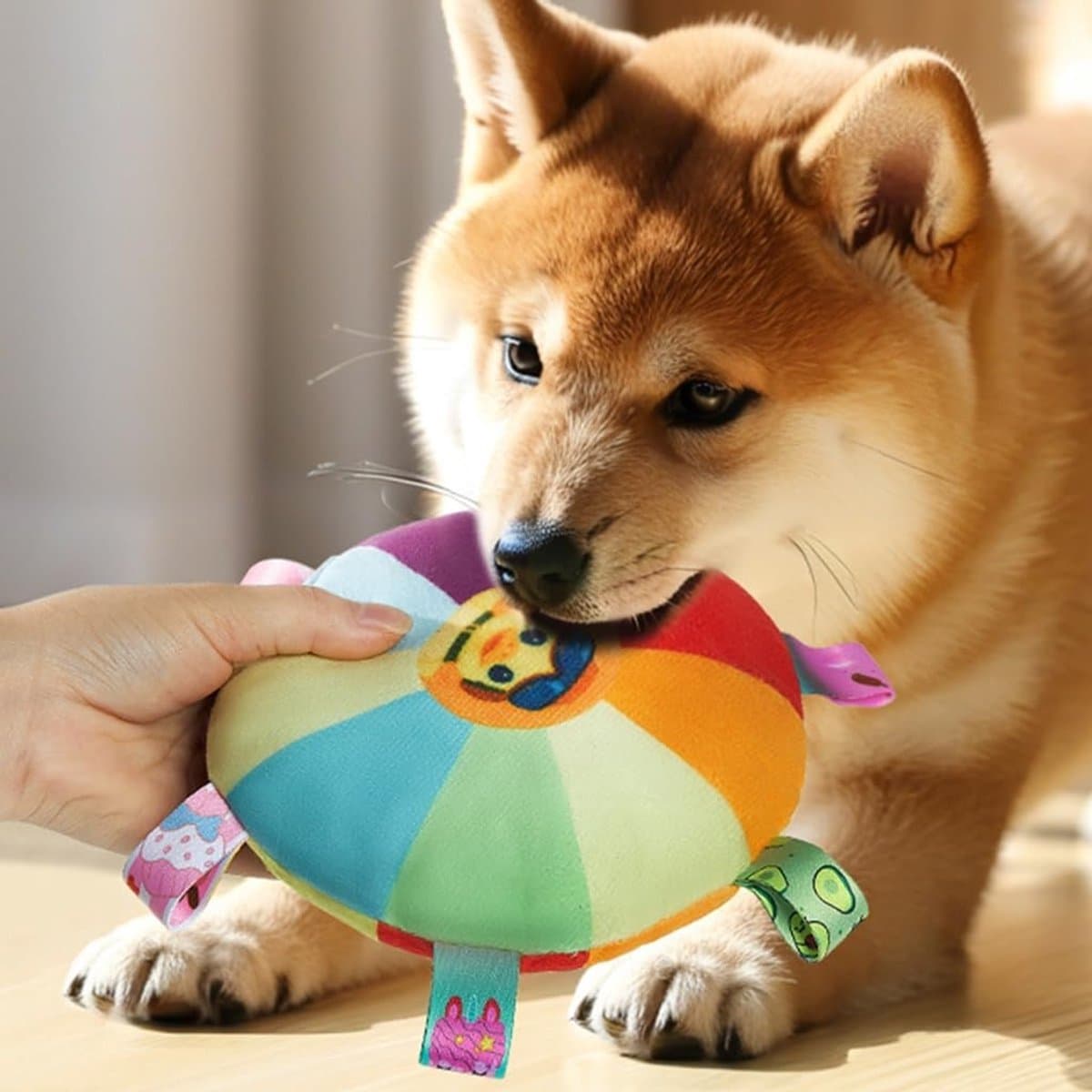 Daity Peluche Interactive pour Chien Arc-en-Ciel – Frisbee Sonore Résistant – Interactief Hondenspeelgoed Sterk – Jeux Intérieur et Extérieur, Voor Puppy’s tot Middelgrote Honden - Eendje thumbnail 6