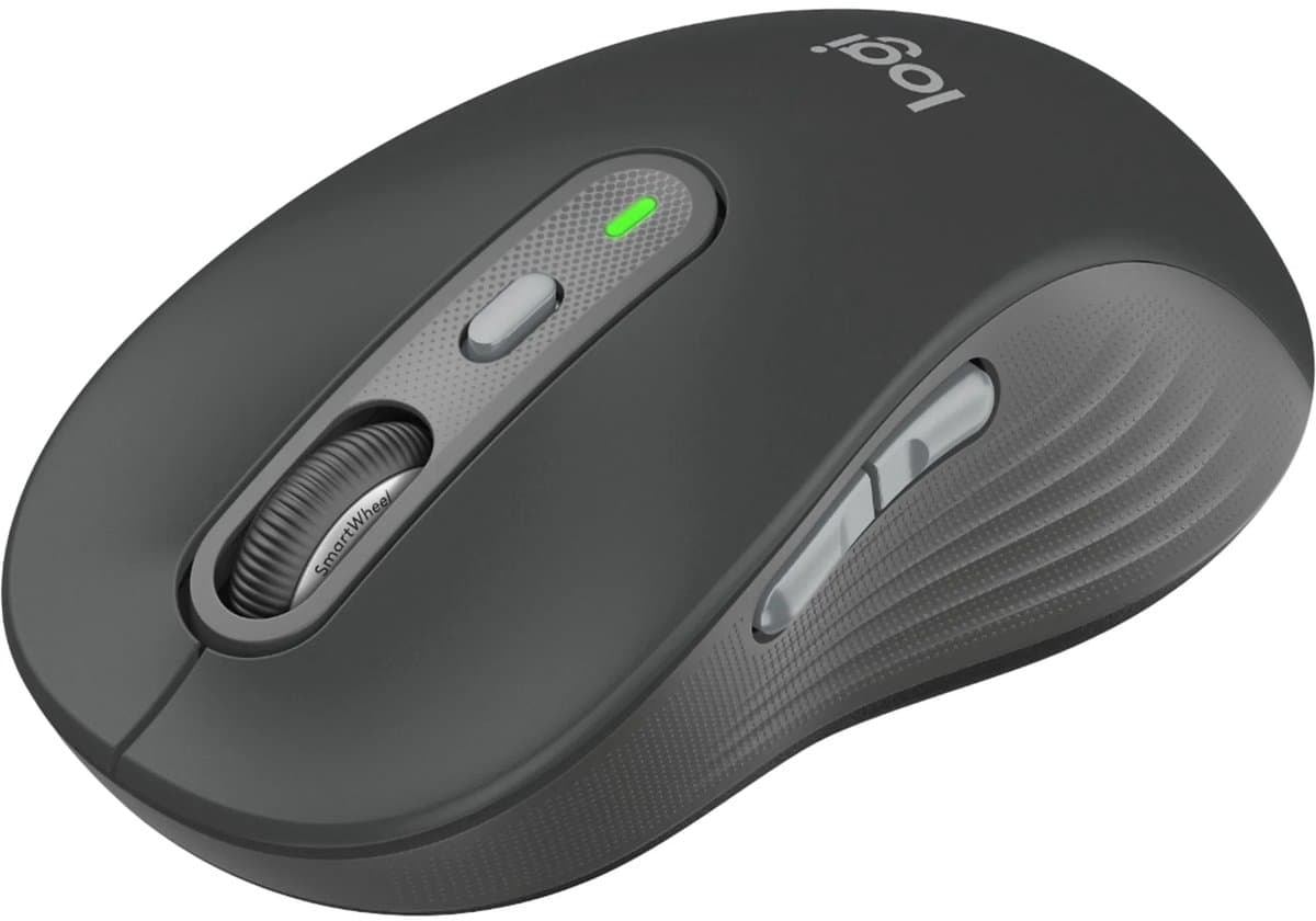 Logitech Signature Plus M750L muis Universeel Rechtshandig RF-draadloos + Bluetooth Optisch 4000 DPI thumbnail 2