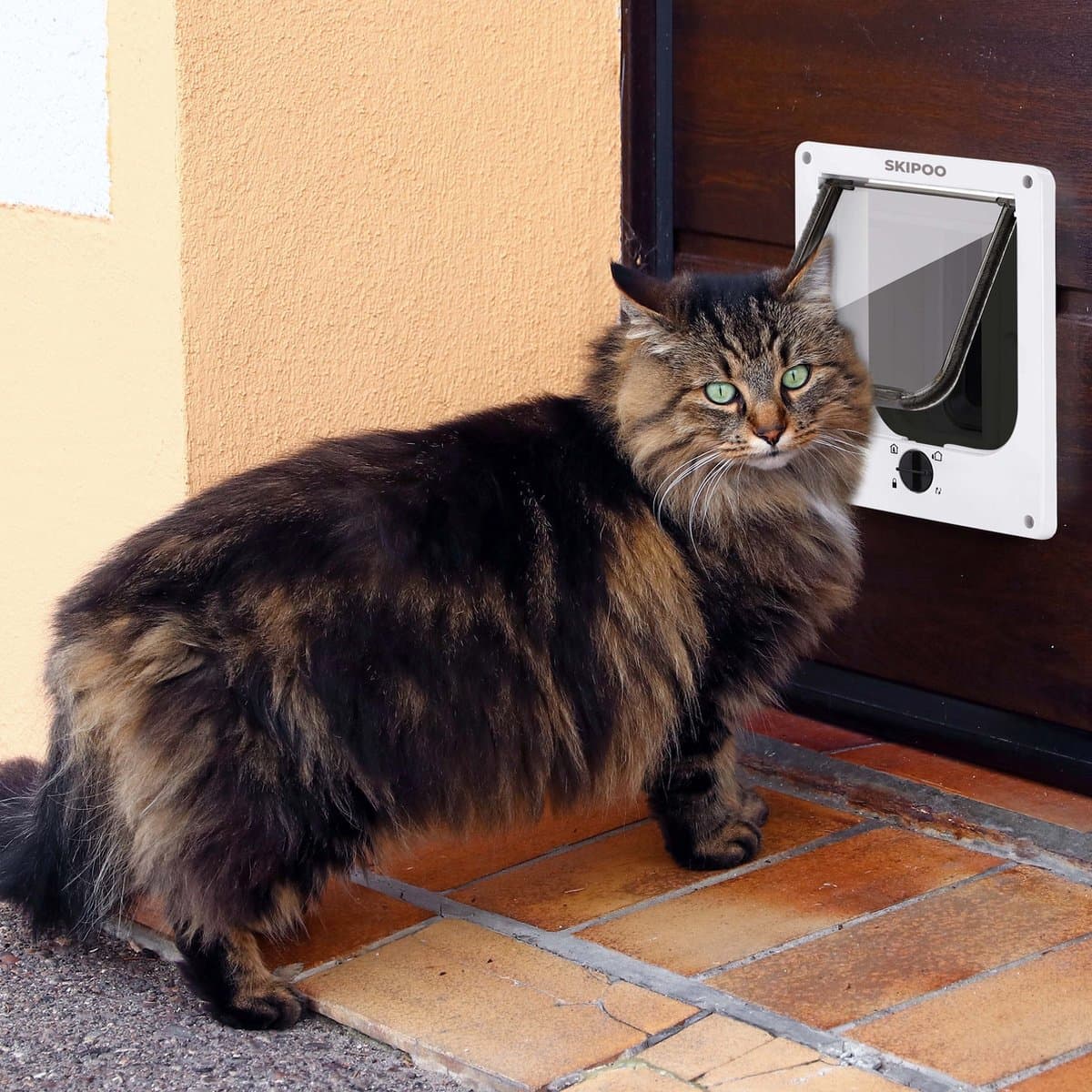 Skipoo Kattenluik met Tunnel - 27 x 23,5 cm - Grote Kat - 4 Vergrendelingsstanden - Wit thumbnail 7