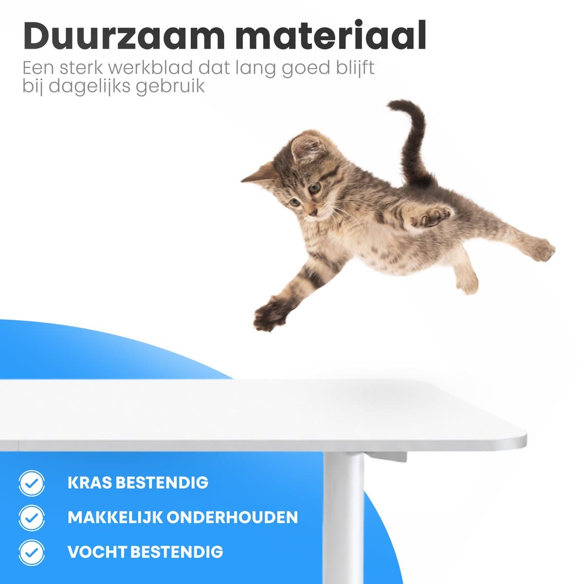 Phreeze Zit Sta Bureau Elektrisch - 120 x 60 cm - Computer Tafel - Geheugenstanden - In Hoogte Verstelbaar - Ergonomisch - Thuiswerkplek & Kantoor - Wit thumbnail 2